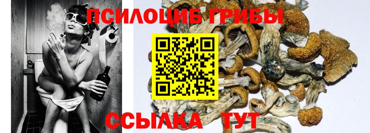 Новый Уренгой  Галлюциногенные грибы MAGIC MUSHROOMS  Вход с VPN  Галлюциногенные грибы GOLDEN TEACHER 